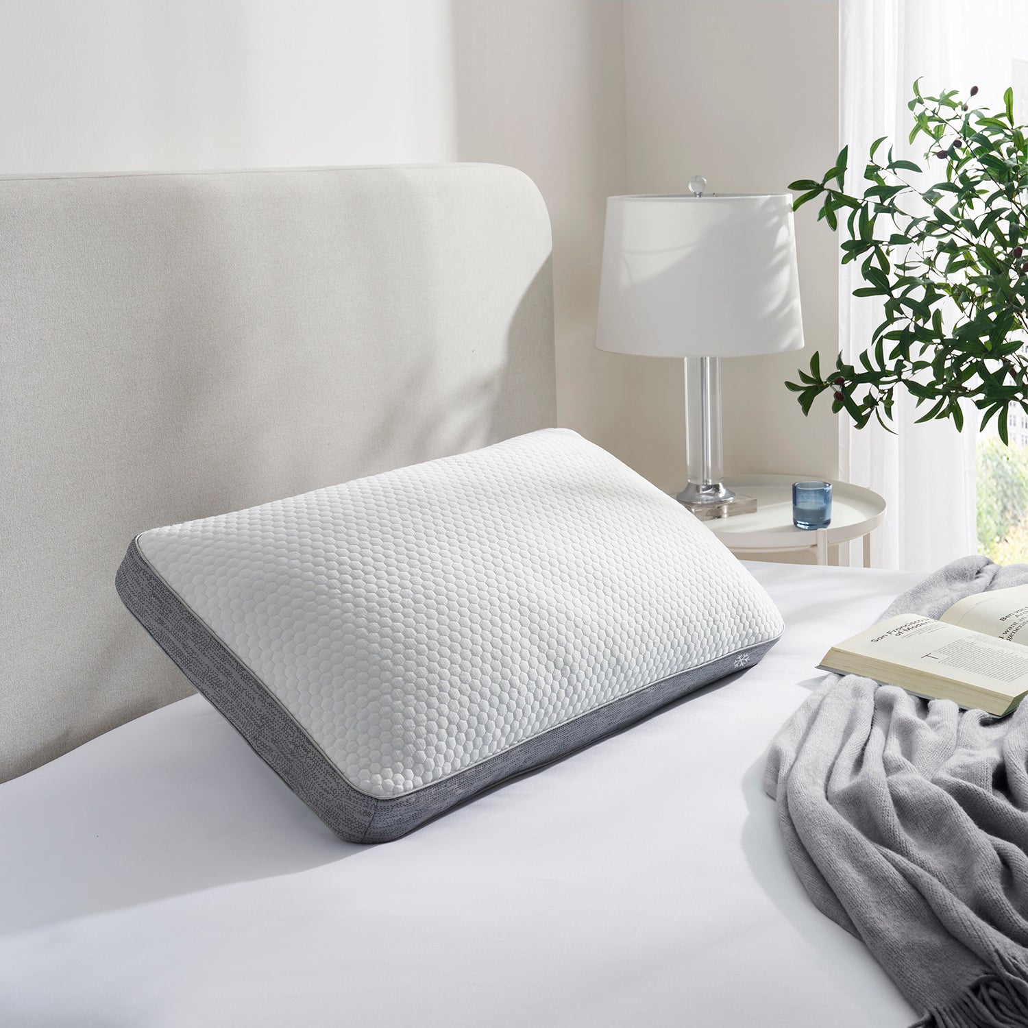 Cooling Pillow
