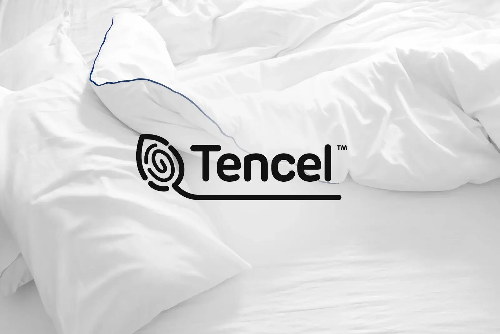 Feather and Down Comforter