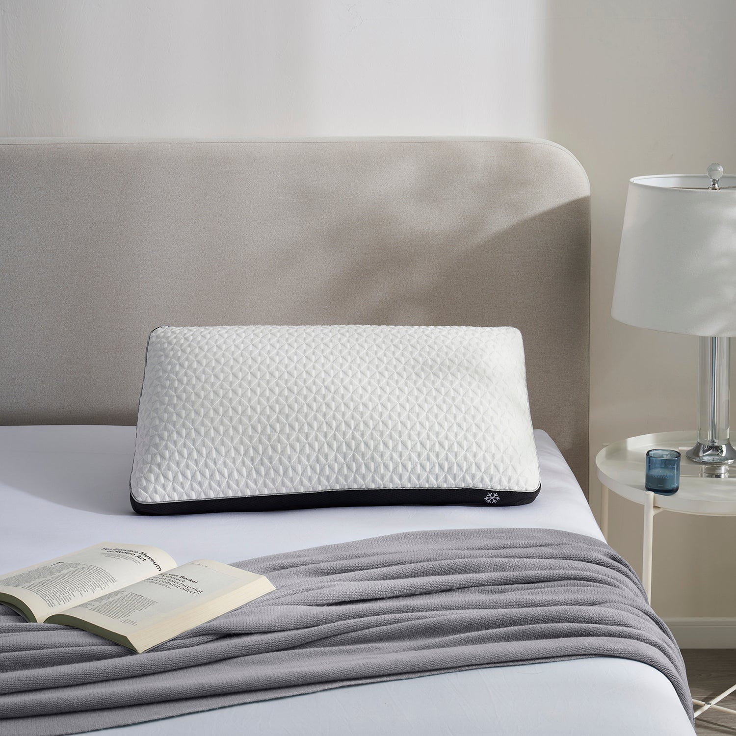 Cool Choice Pillow