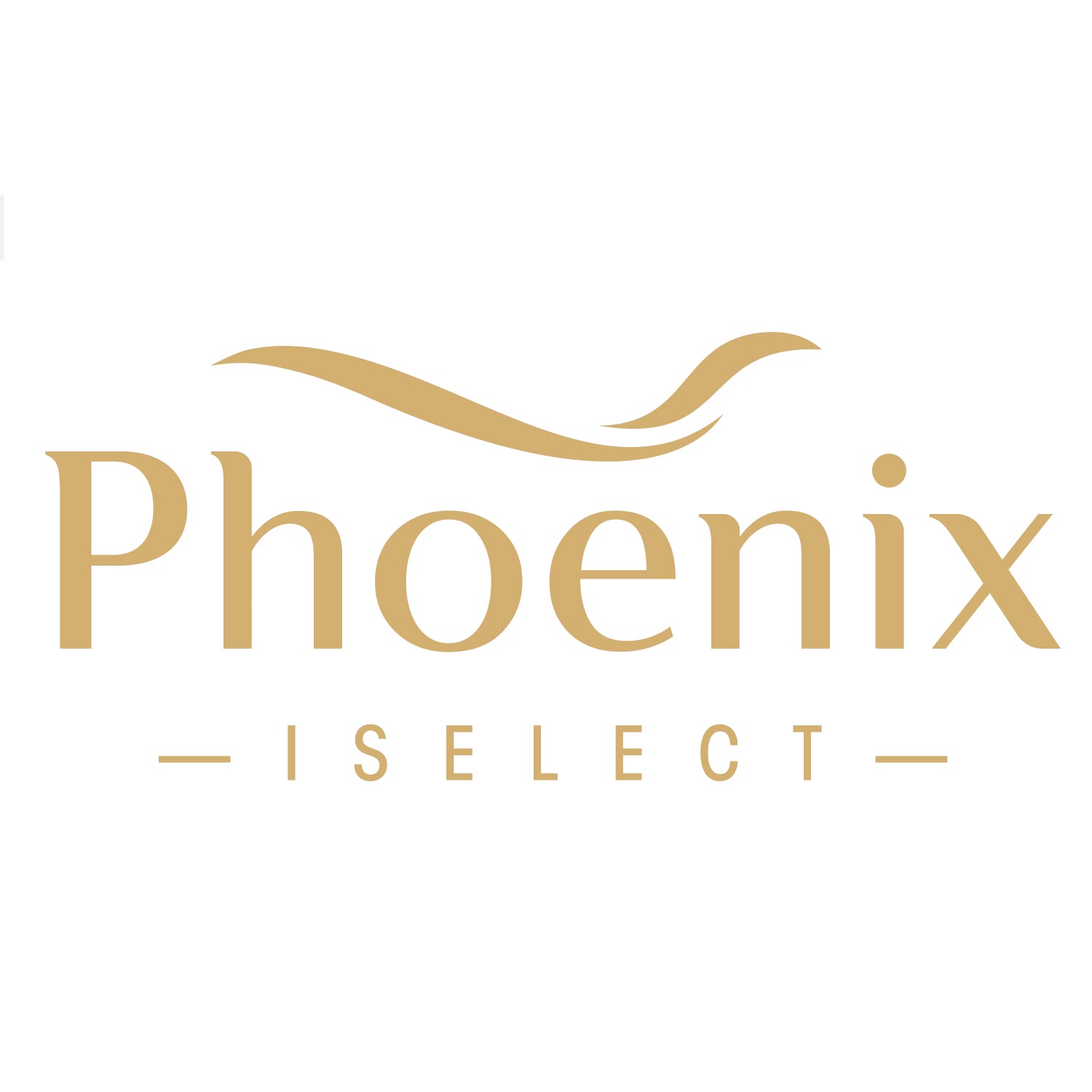 Mini Phoenix Iselect Mattress - Demo  (12"x16")